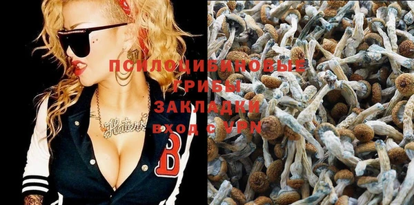 прущая мука Алексеевка