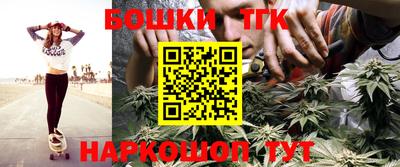 гашик Донской