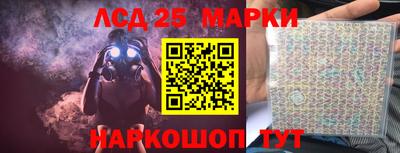 гашик Донской