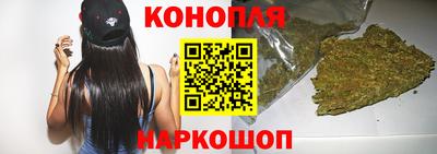 гашик Донской