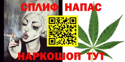 гашик Донской