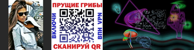 хочу Миасс Псилоцибиновые грибы Psilocybine cubensis