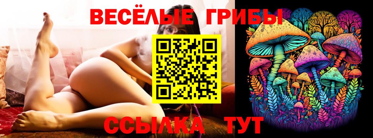 как найти закладки  Псилоцибиновые грибы мицелий  Псилоцибиновые грибы мицелий  Вход с VPN  Миасс 